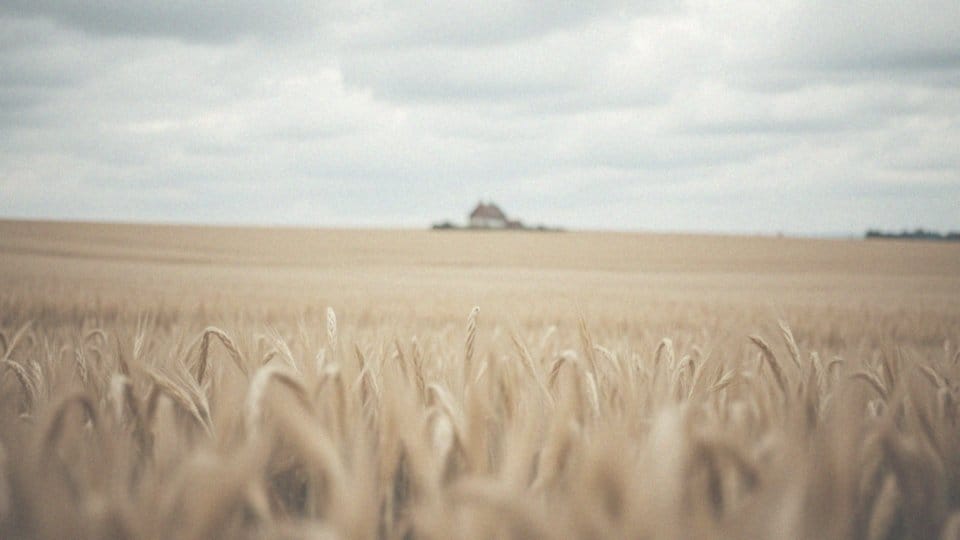 Dziwny dyskomfort w odbycie – przyczyny, objawy i pomoc