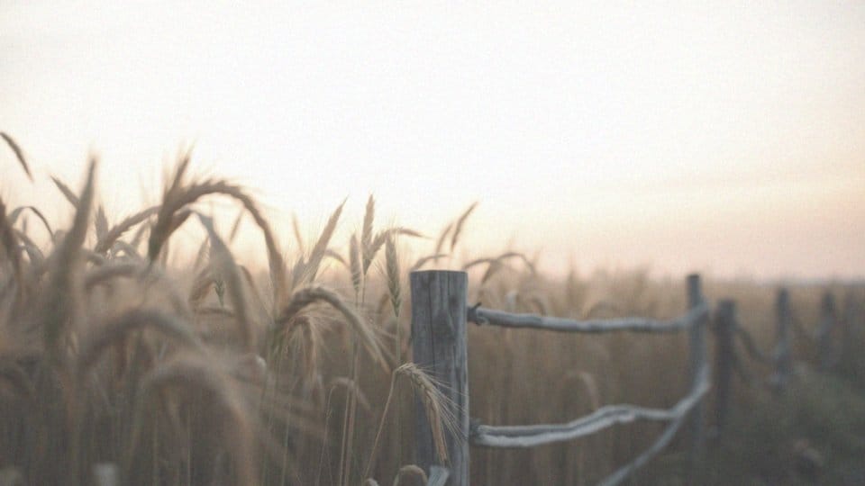 FSH w wieku 45 lat – co warto wiedzieć o menopauzie?