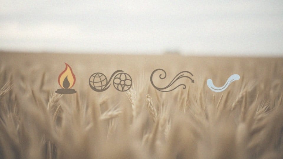 Najlepiej dobrane znaki zodiaku – jak wpływają na relacje?