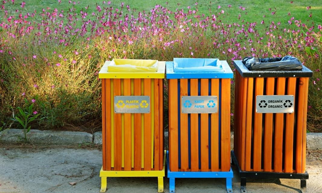 Podjęcie Segregacji Odpadów w Międzylesiu: Inicjatywy Prośrodowiskowe